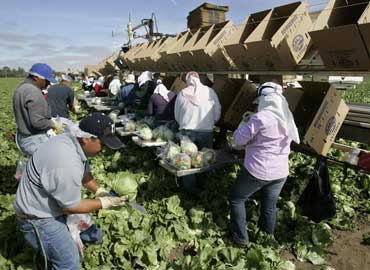MIGRANTES MIGRANTES