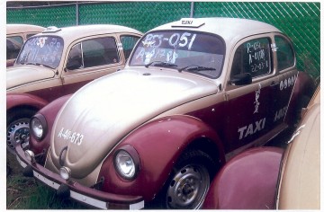 Placas_Clonadas_1-360x236