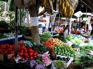 mercado mercado