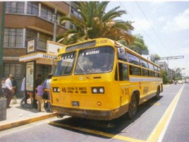 Ex Ruta-100