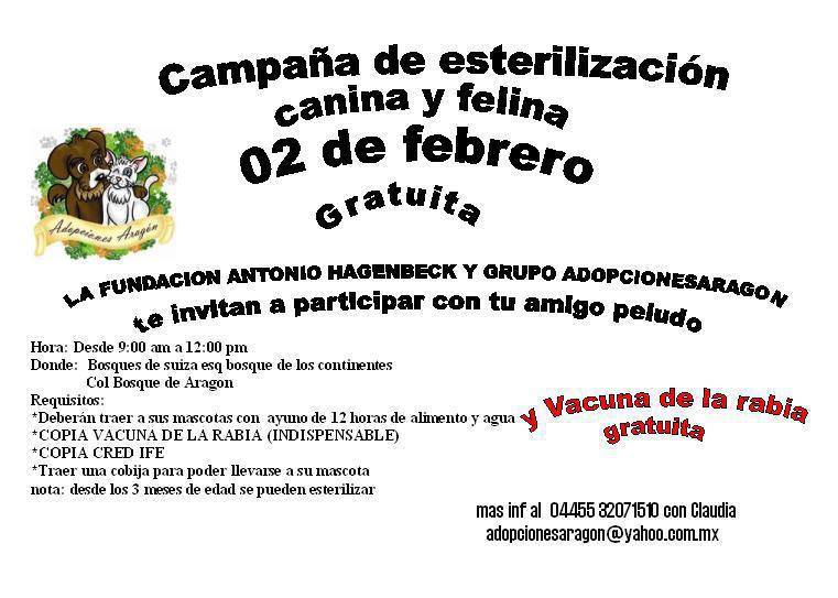 esterilización esterilización