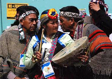 mapuches mapuches