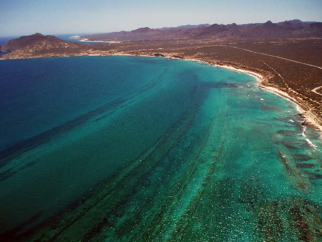 Cabo (629x472) Cabo (629x472)