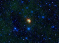 Venus Venus