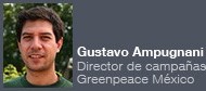 Gustavo Gustavo